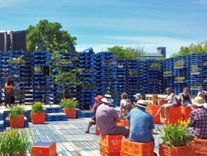 The Pallet Pavilion